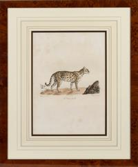 A Set of Six Animalier Prints 15 3/4 x 10 3/4 inches. — 19TH CENTURY