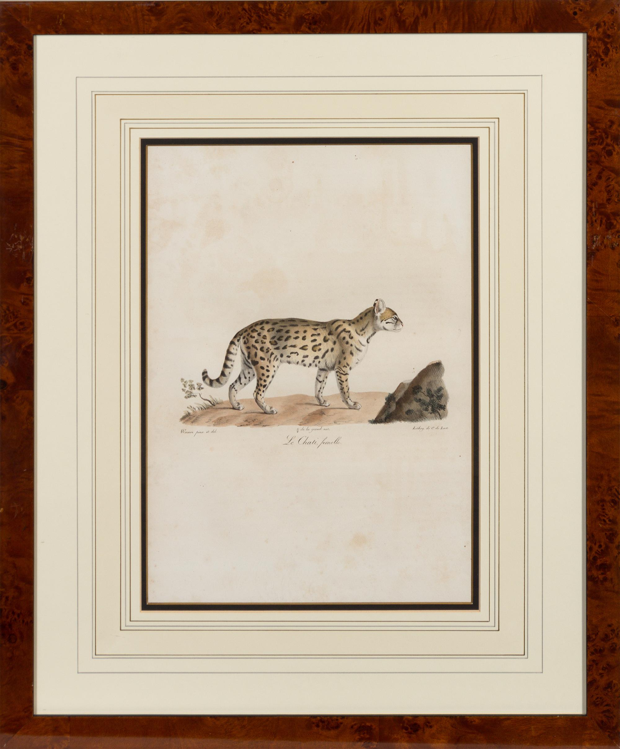 A Set of Six Animalier Prints 15 3/4 x 10 3/4 inches. — 19TH CENTURY