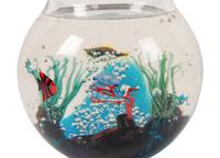 Fishbowl