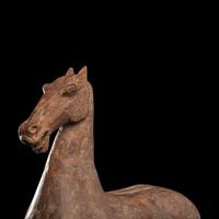 A Han Dynasty Horse