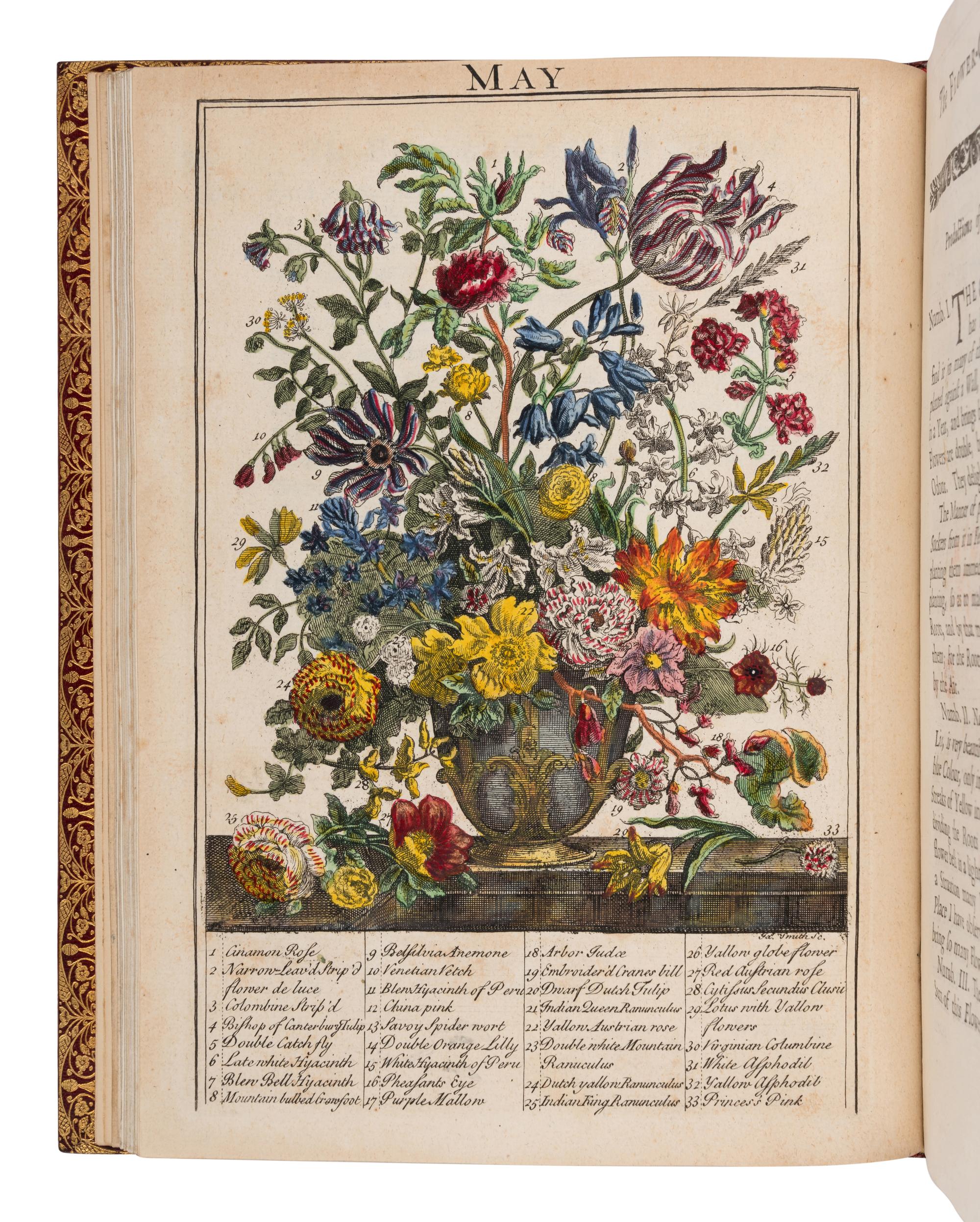 FURBER, Robert (ca 1674-1756) and Richard BRADLEY (d.1732). The Flower-Garden Display'd, in above Four Hundred Curious Representations of the most Beautiful Flowers . London: Printed for J. Hazard; R. Montagu; W. Bickerton; R. Chandler; and Caesar Ward, 1732.