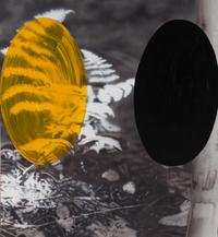 Acquired Habitat, 1990