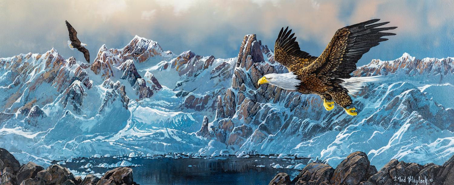 Eagles on Glacier Bay