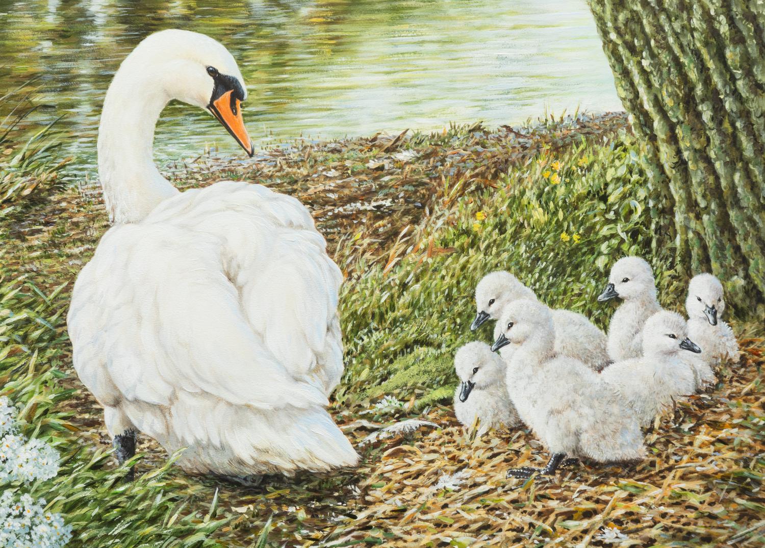Whistling Swans , 1991