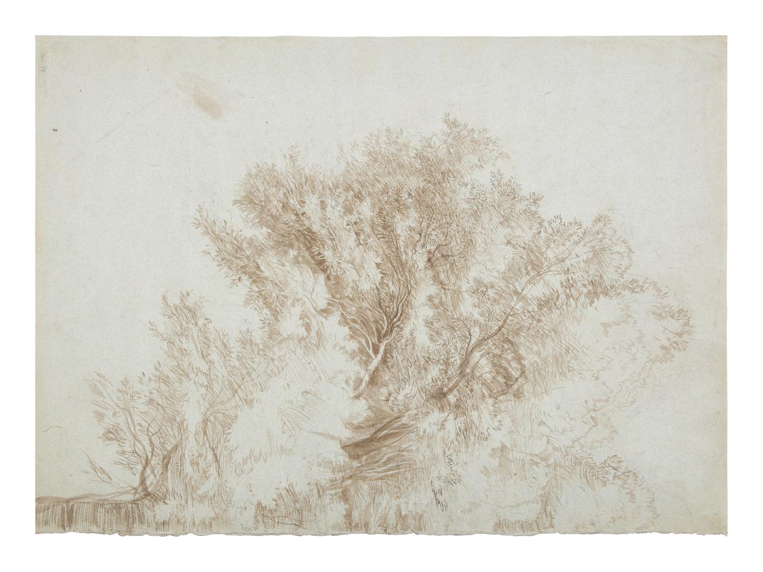 Half of a Tree