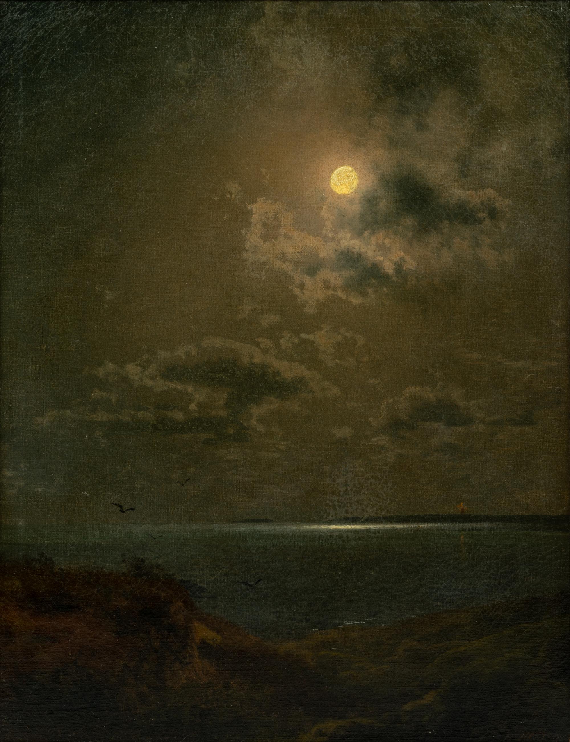 Moonlit Scene