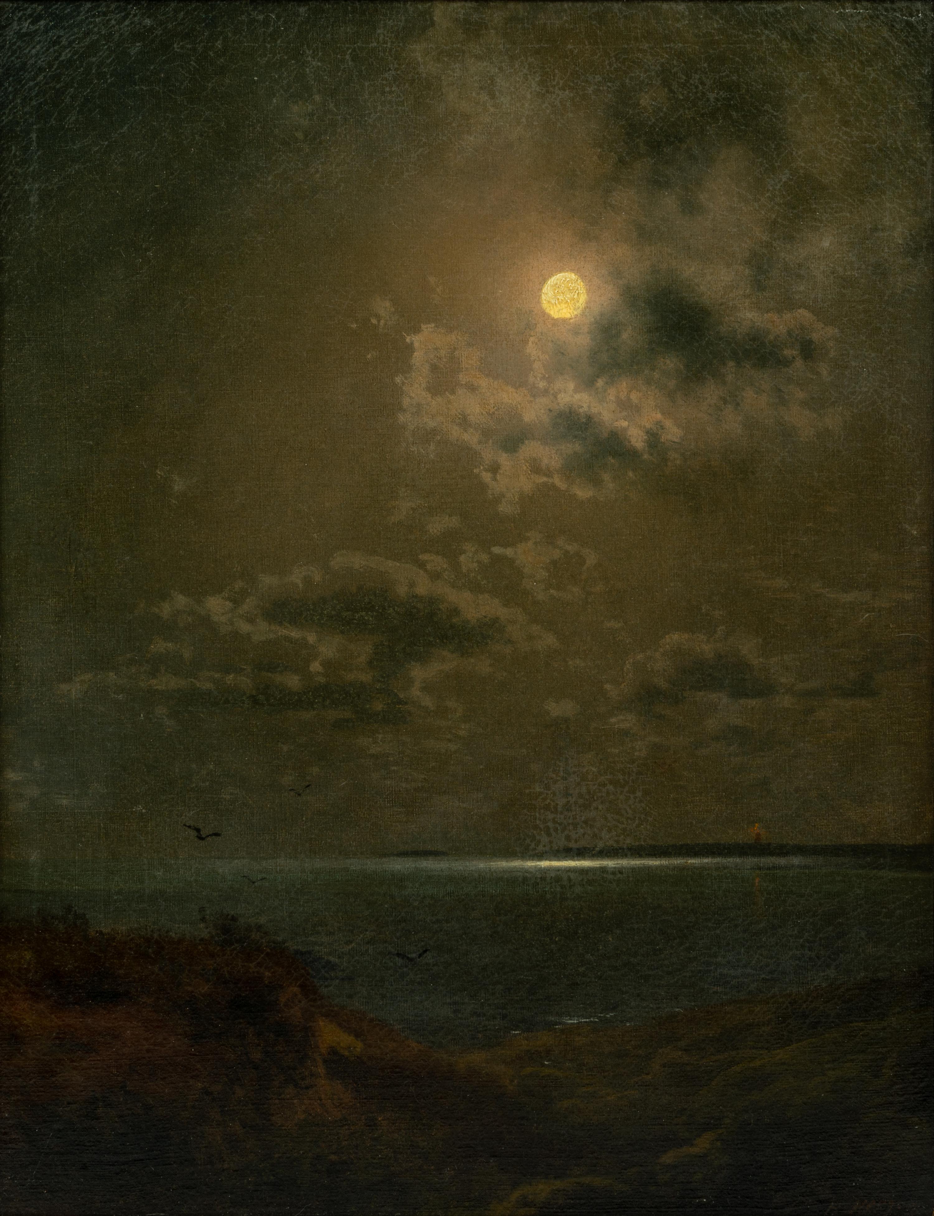 Moonlit Scene
