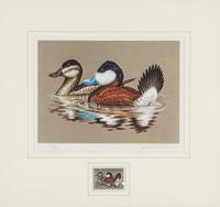 (DUCK STAMPS) A collection of 12 signed lithographs with accompanying duck stamps.