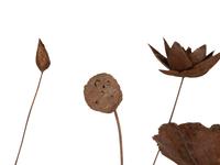 A Metal Multi-Headed Water Lily Sculpture