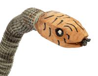 Bottlecap Snake