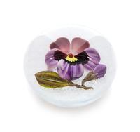 Victor Trabucco, (American), a magnum pansy paperweight, 1998