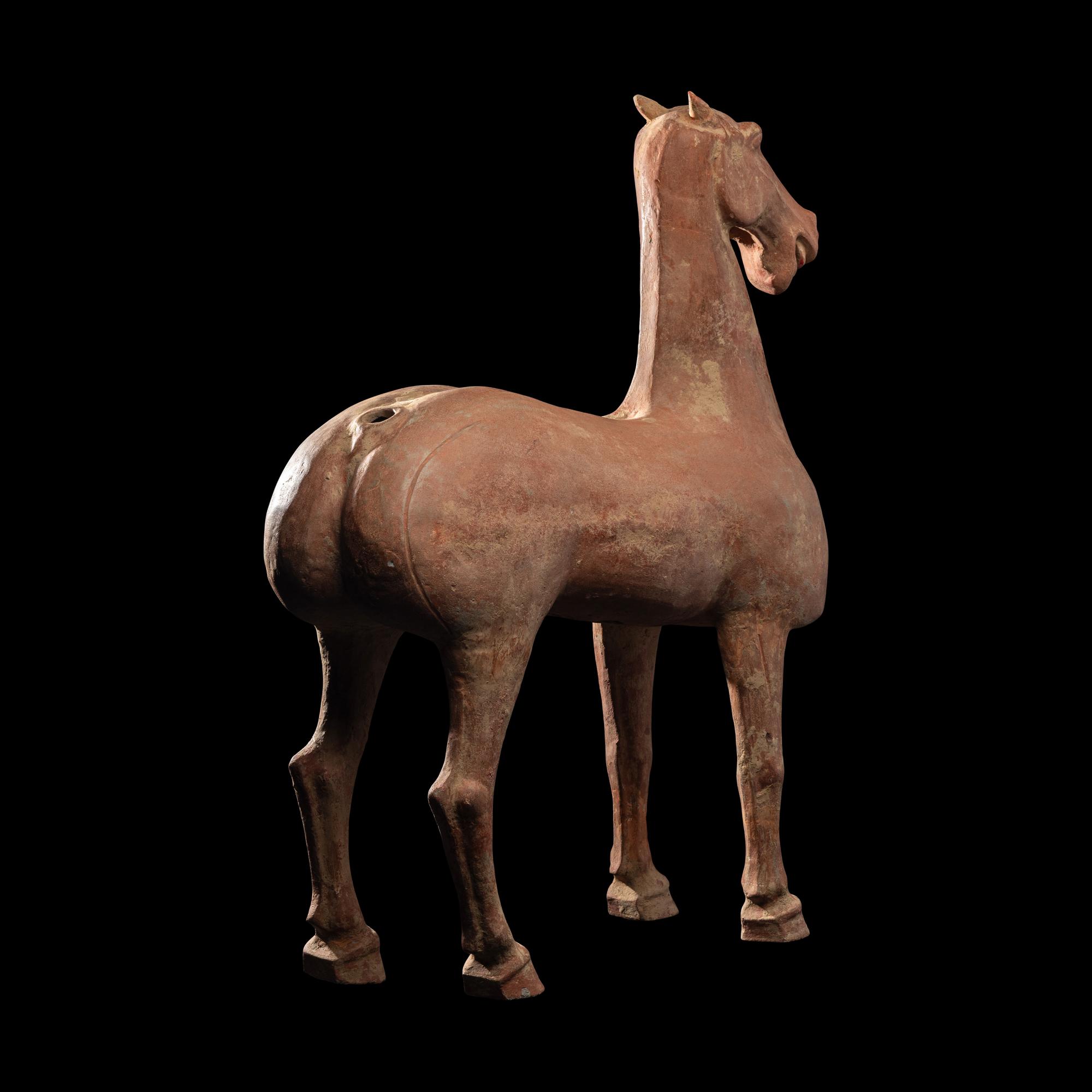 A Han Dynasty Horse