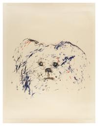 Cute Dog #1