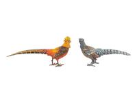 A Pair of Austrian Cold Painted Bronze Pheasants