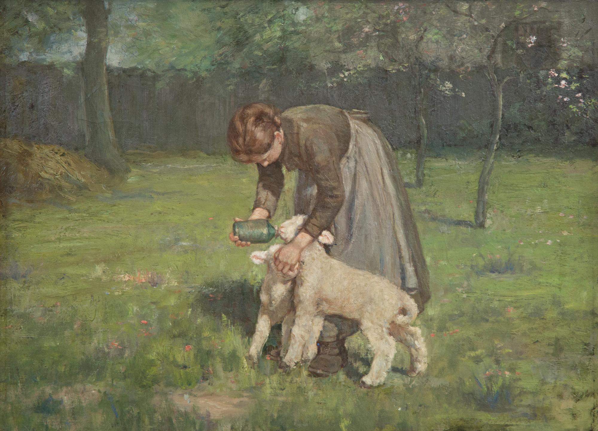Girl Feeding the Lambs
