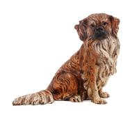 An Austrian Cold Painted Bronze Tibetan Spaniel Height 3 inches.