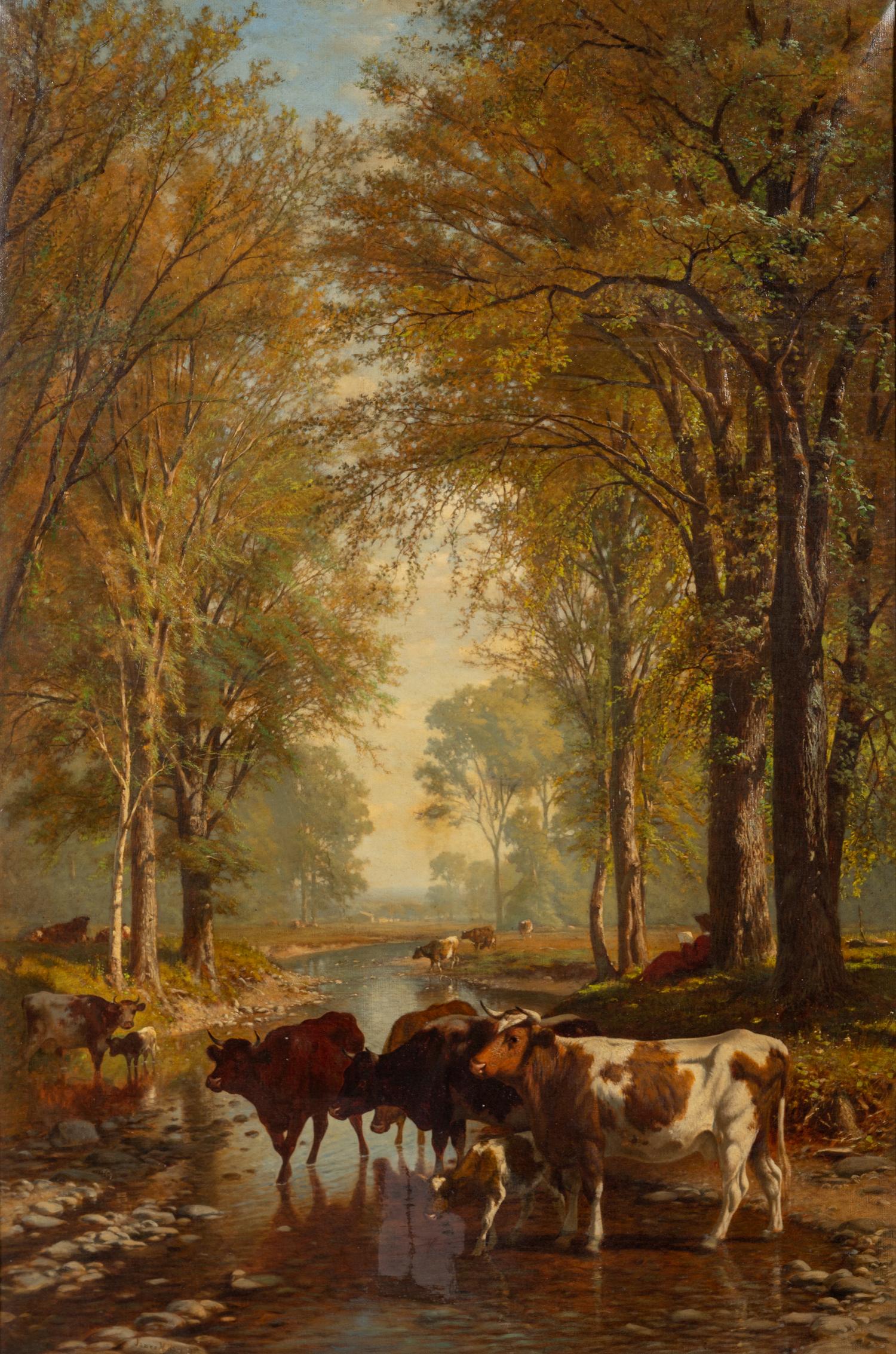 The Cattle Seek the Cooling Shade