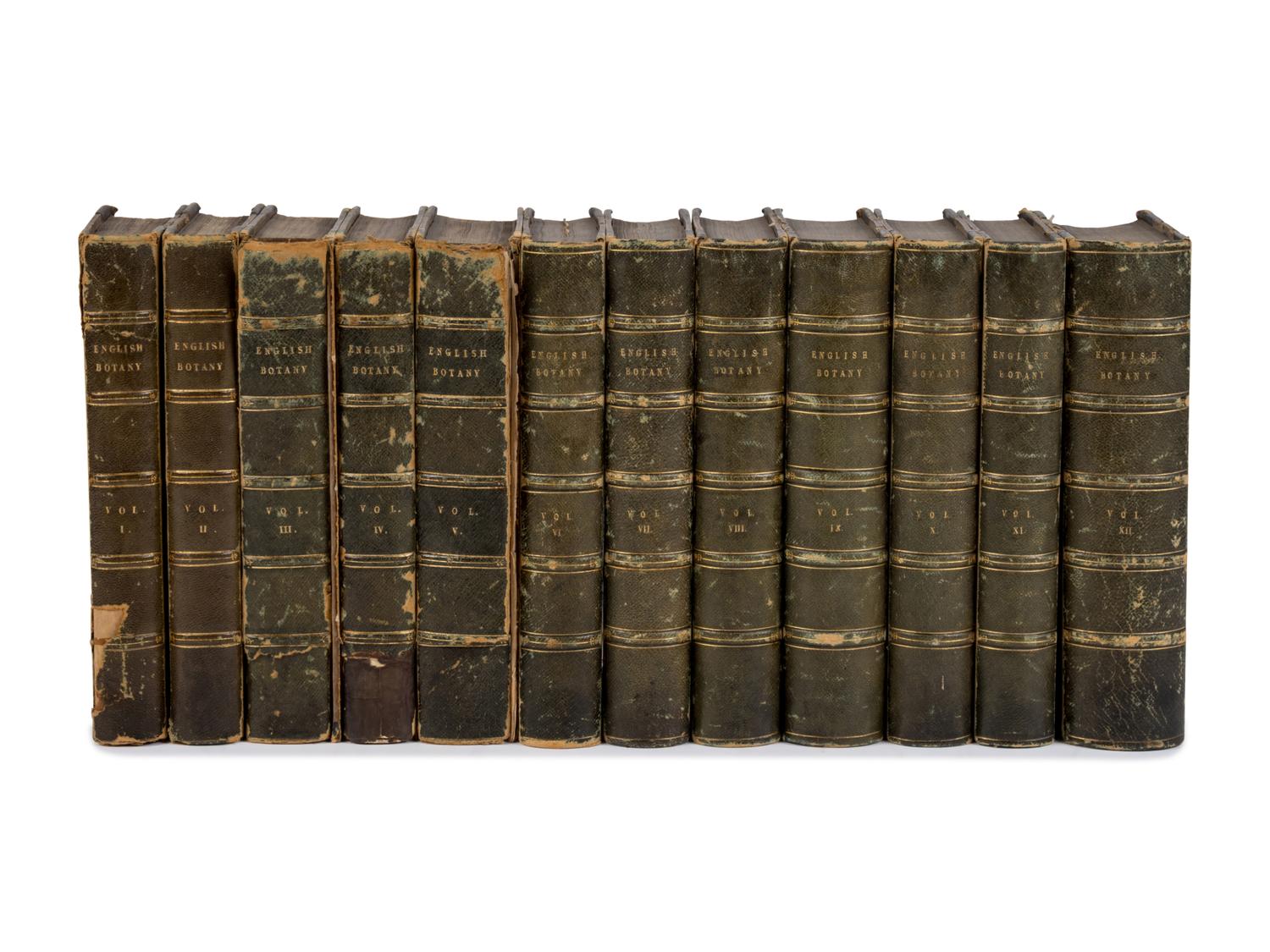 [Natural History] Sowerby, James and James Edward Smith. English Botany