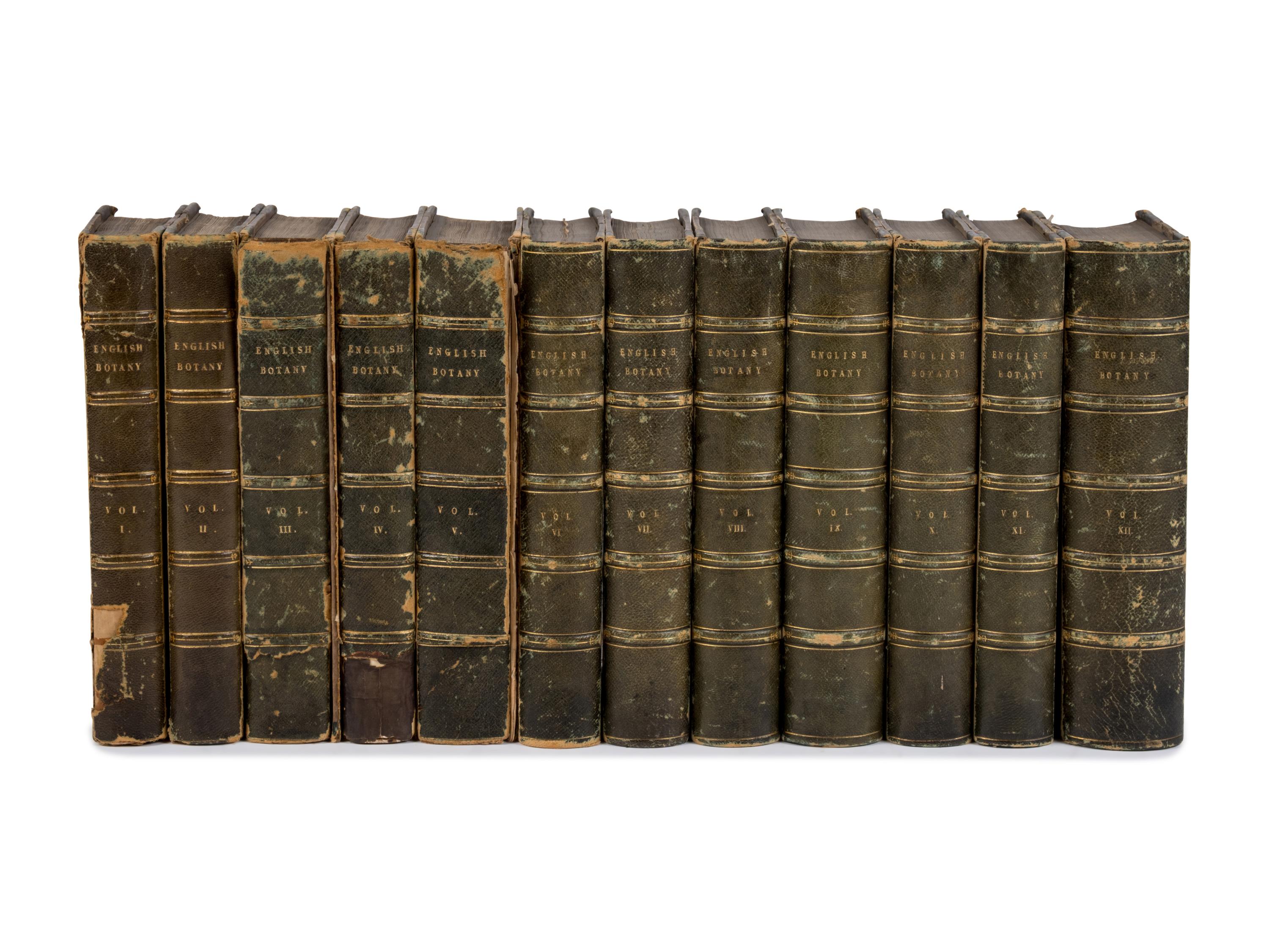 [Natural History] Sowerby, James and James Edward Smith. English Botany