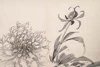 Two Chinese Hanging Scrolls Depicting Flowers and Plants