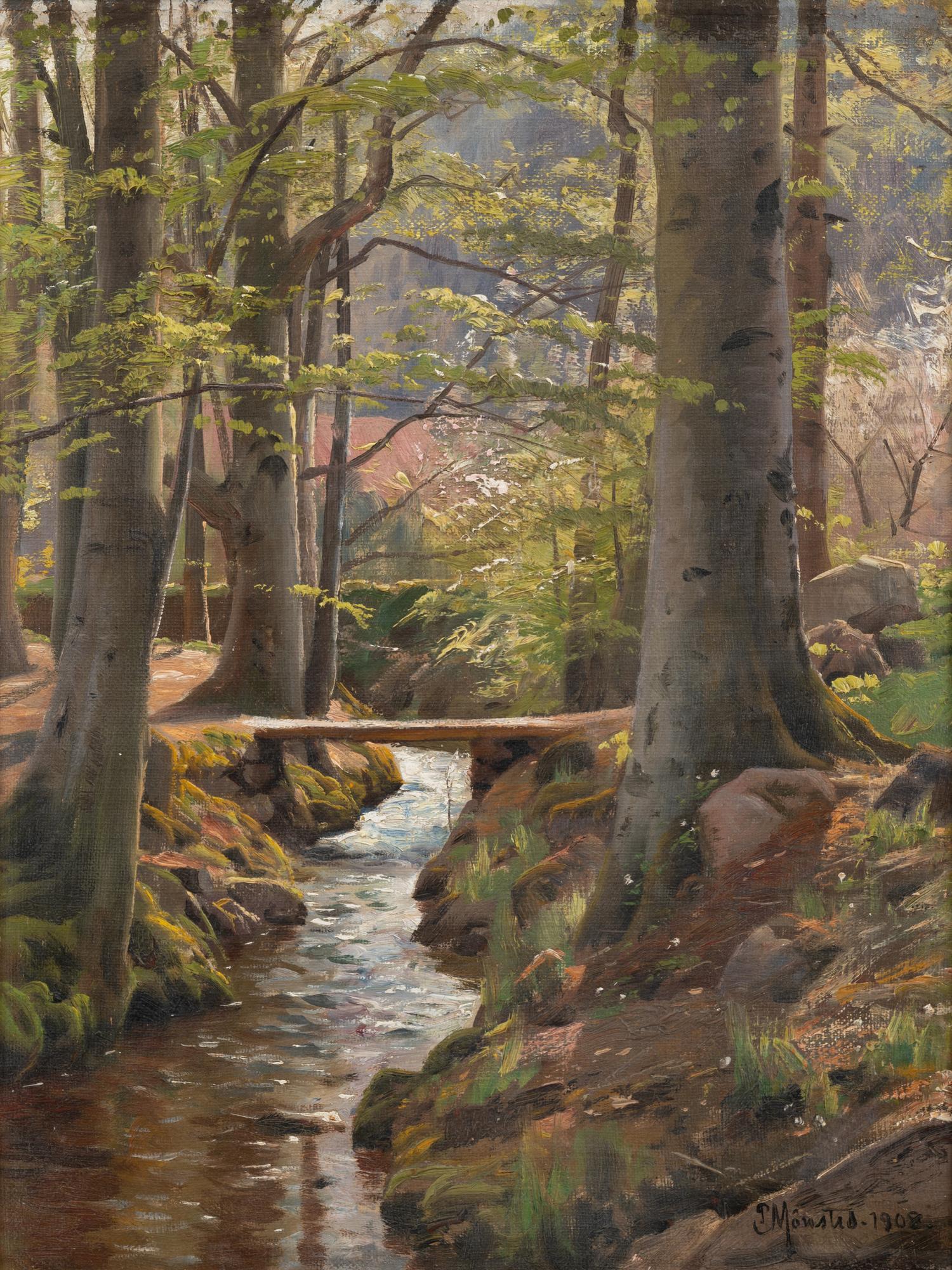River in Forest Landscape