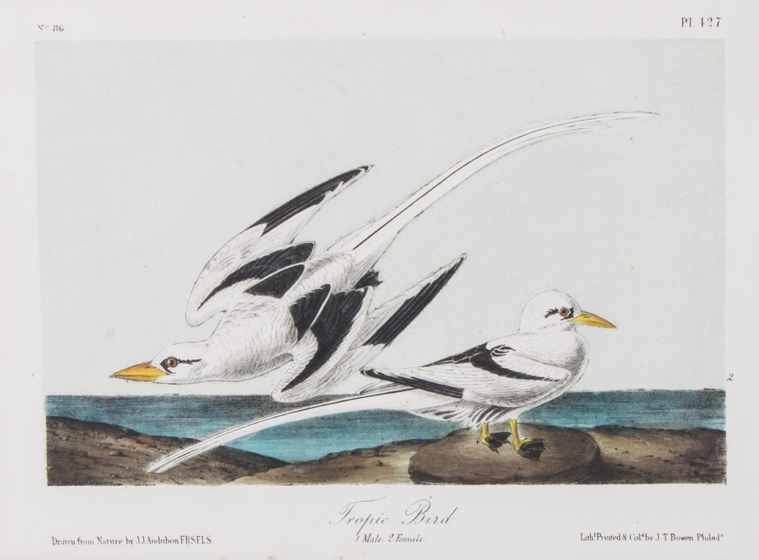 Audubon, John James, after Each approximately: 10 1/2 x 6 3/4 inches.