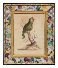 A Set of Twelve Hand-Colored Engravings of Parrots from A Natural History of Uncommon Birds by George Edwards (English, 1694-1773)