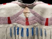 Plateau Beaded Hide Dress Yoke