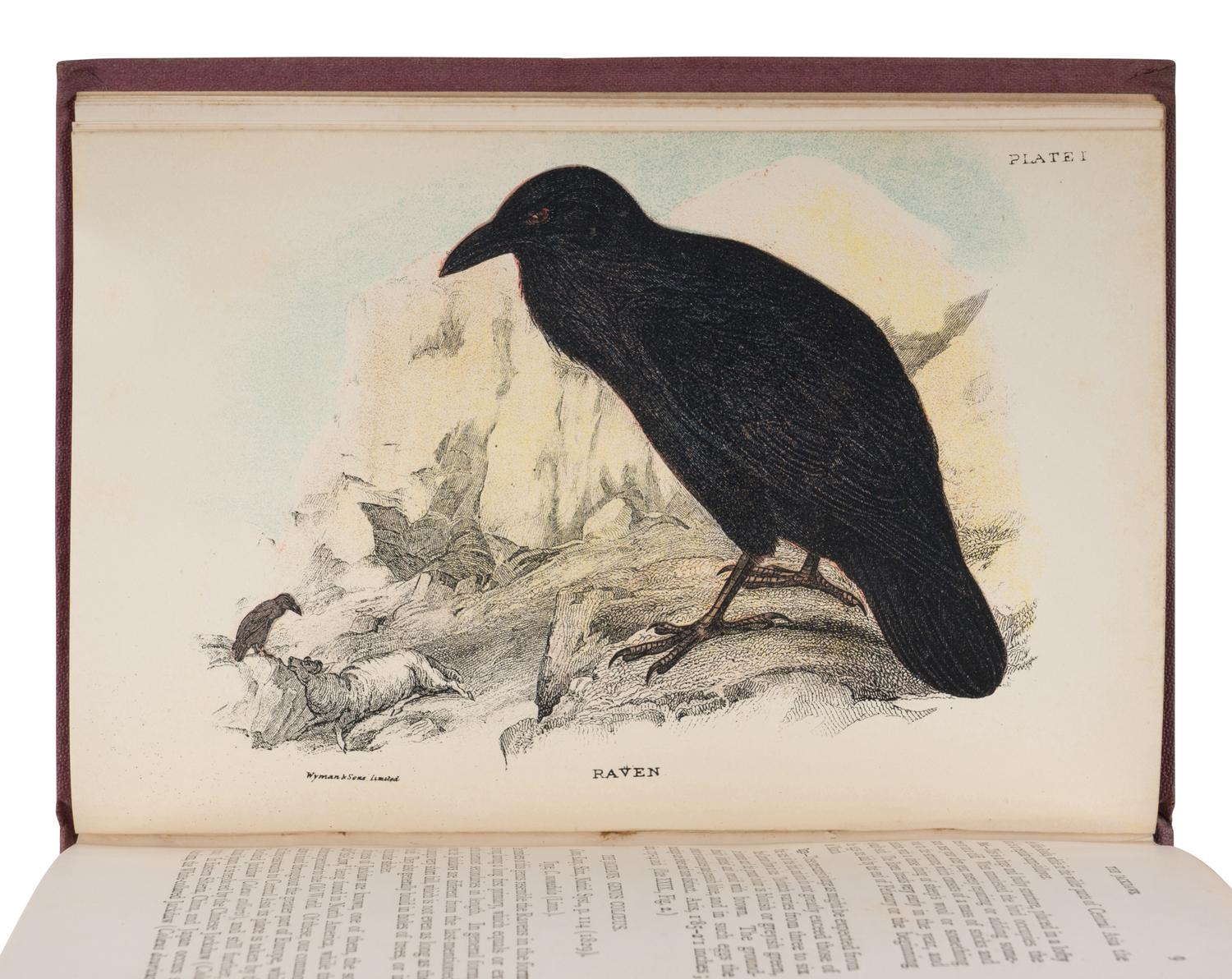 [NATURAL HISTORY]. KIRBY, William Forsell (1844-1912), et al. Lloyd’s Natural History... London: Edward Lloyd, 1896-97.