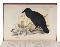 [NATURAL HISTORY]. KIRBY, William Forsell (1844-1912), et al. Lloyd’s Natural History... London: Edward Lloyd, 1896-97.