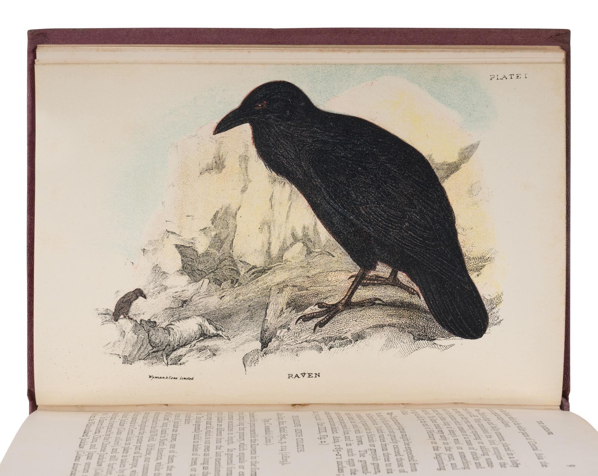 [NATURAL HISTORY]. KIRBY, William Forsell (1844-1912), et al. Lloyd’s Natural History... London: Edward Lloyd, 1896-97.