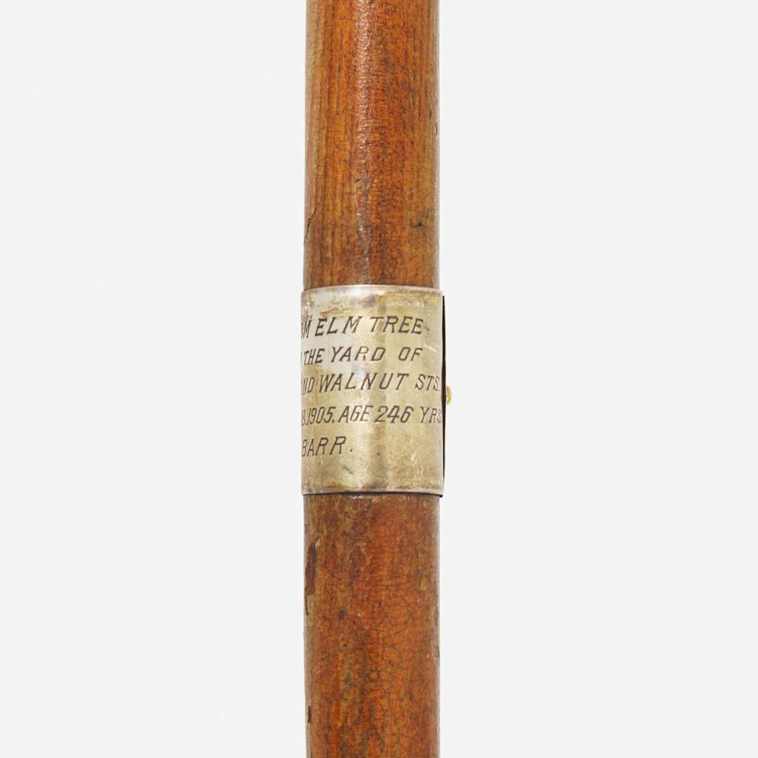 A silver-mounted elm walking stick made from the Dundas-Lippincott Elm, Philadelphia, Pennsylvania Dated, "1905"