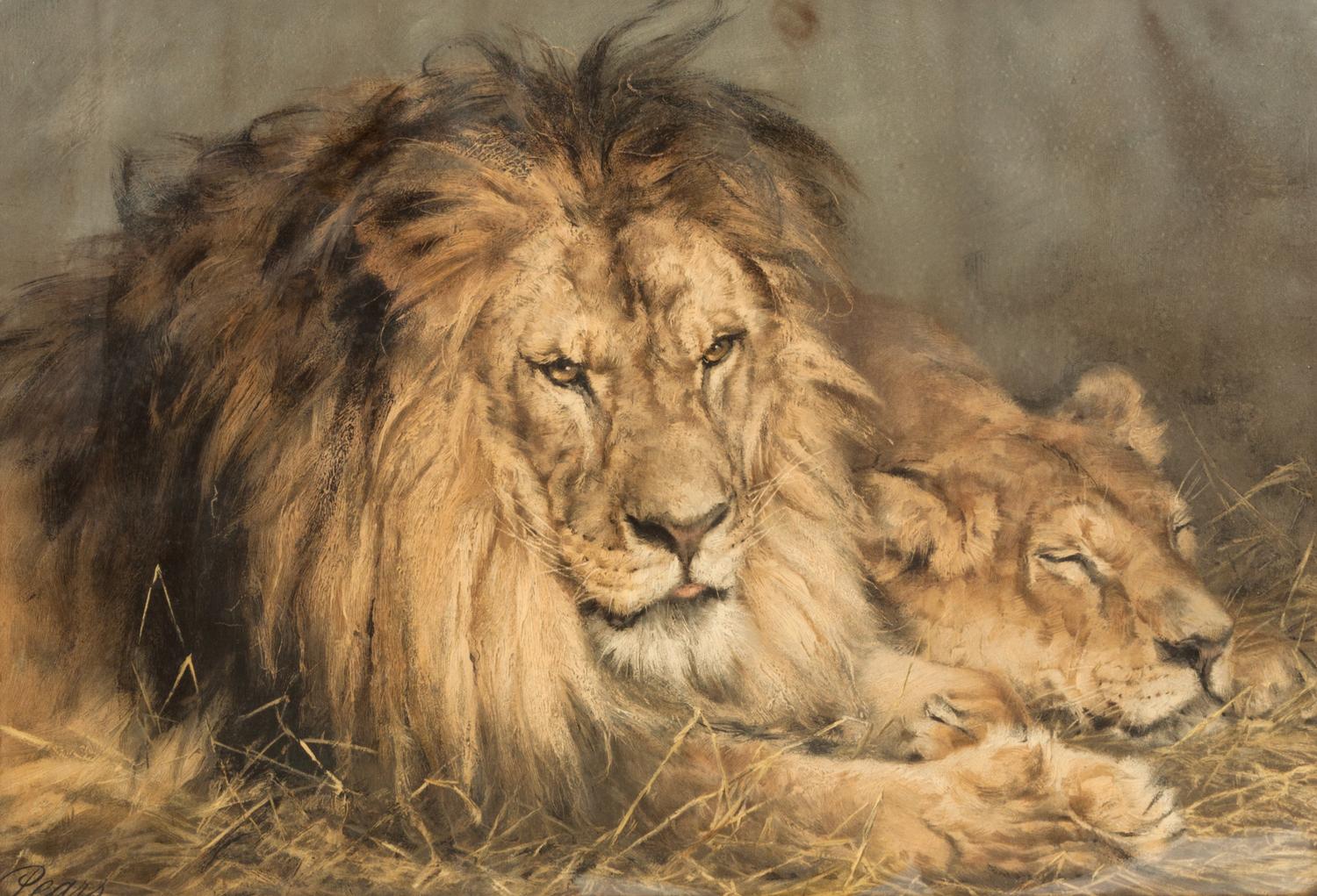 After Geza Vestagh, (Hungarian, 1866-1916), Repose, Lion and Lioness, published by Pears Shop