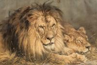 After Geza Vestagh, (Hungarian, 1866-1916), Repose, Lion and Lioness, published by Pears Shop