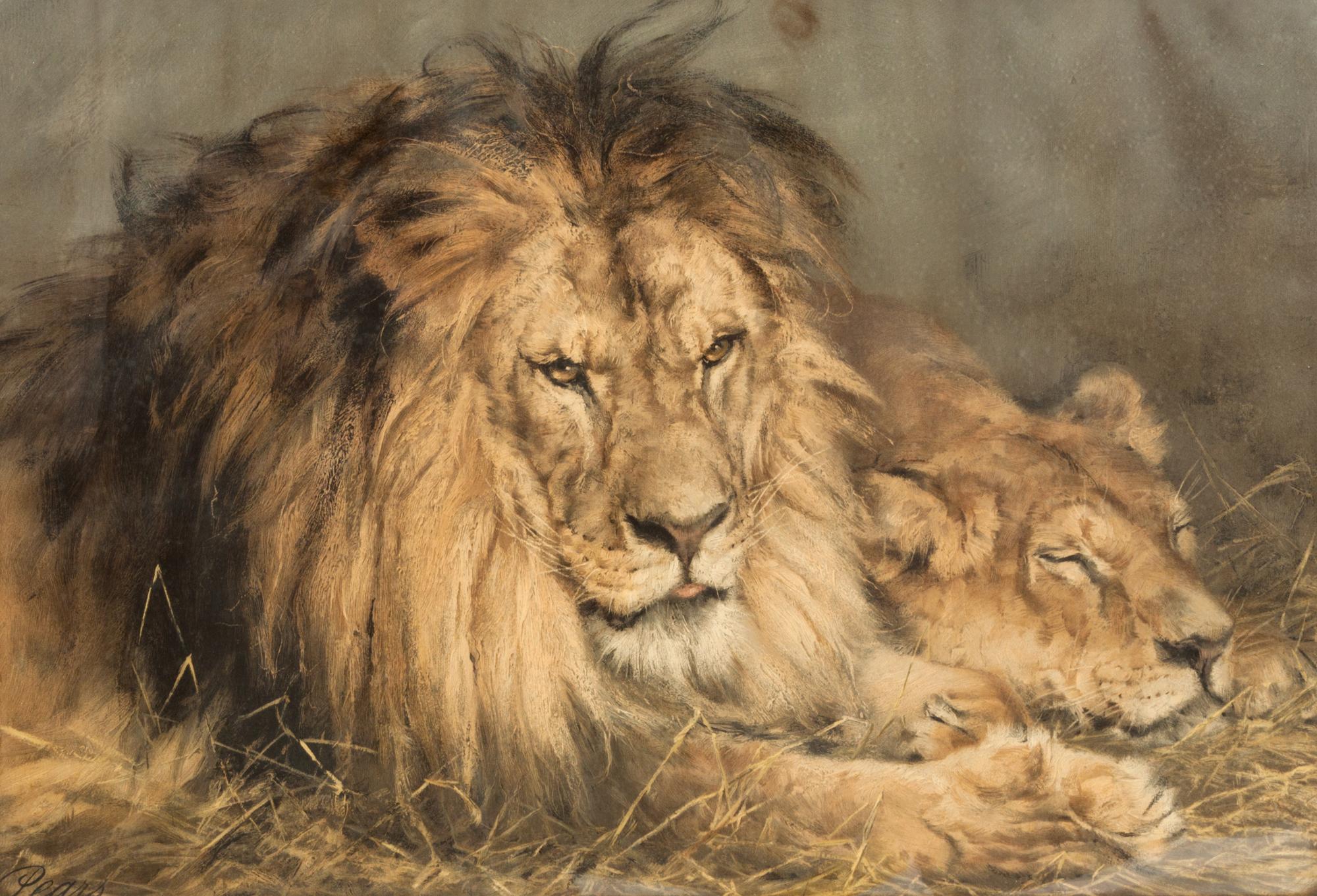 After Geza Vestagh, (Hungarian, 1866-1916), Repose, Lion and Lioness, published by Pears Shop