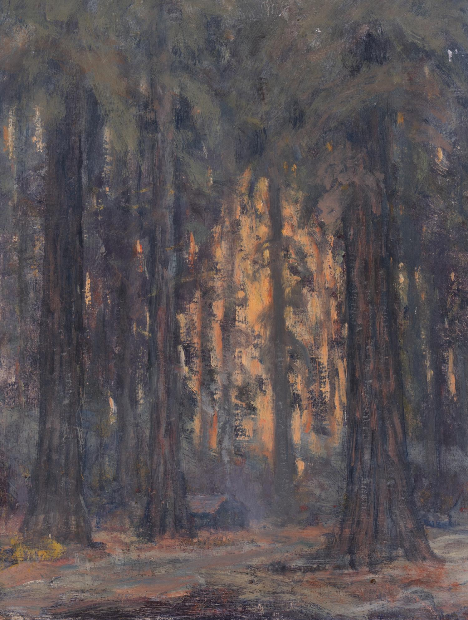 Redwoods Near Benbow