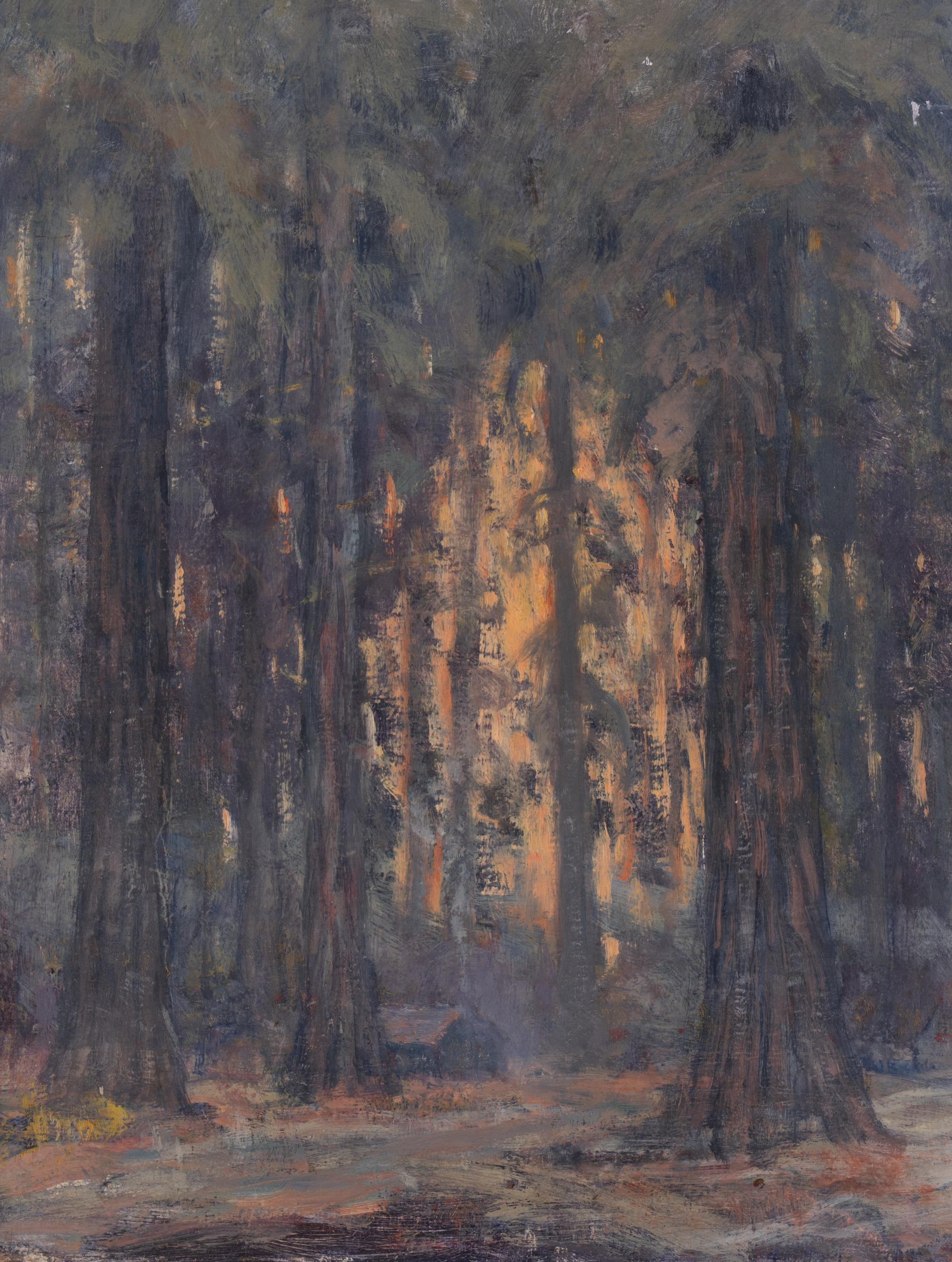 Redwoods Near Benbow