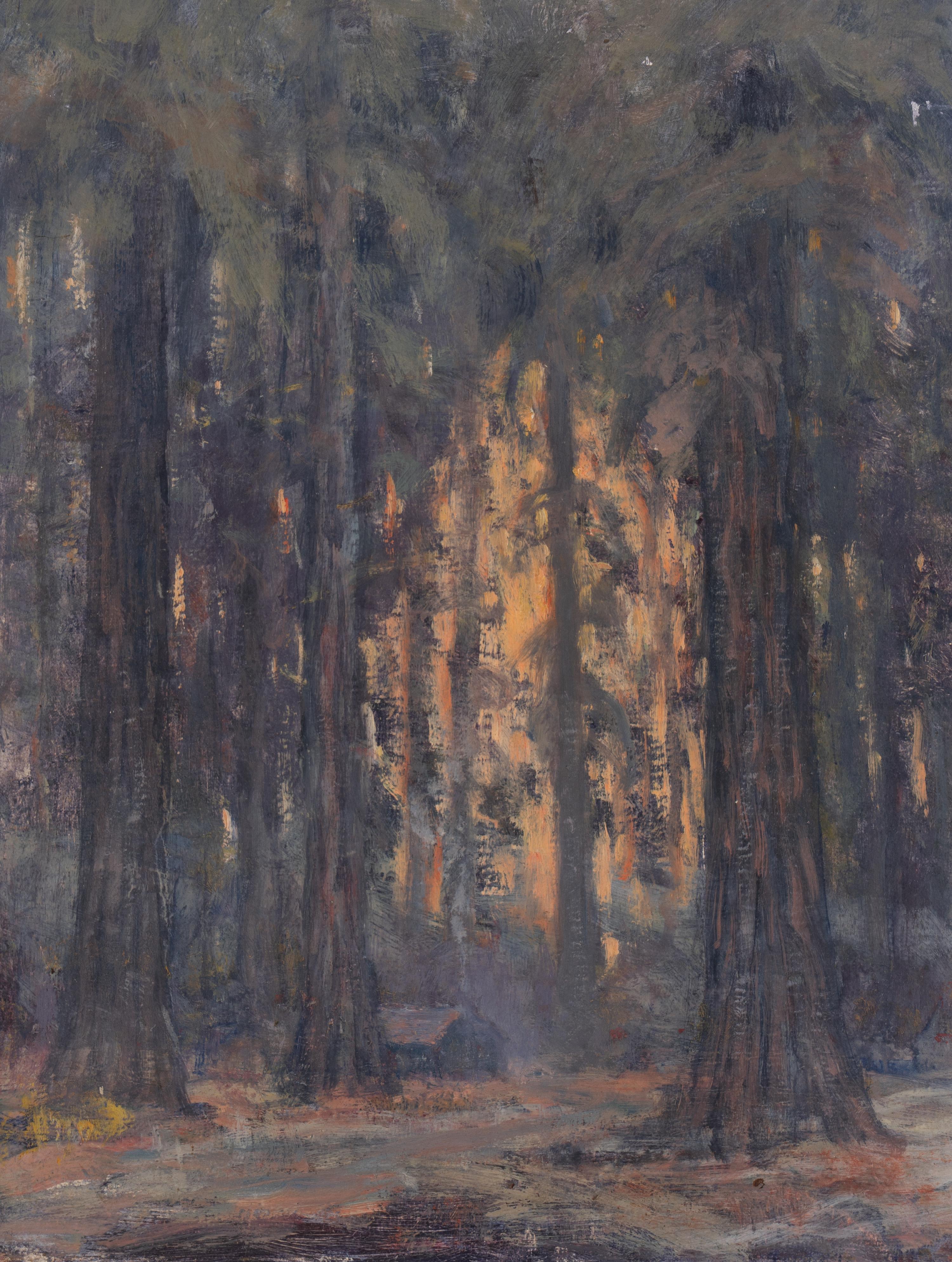 Redwoods Near Benbow