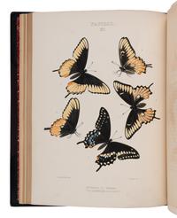 [NATURAL HISTORY]. EDWARDS, William Henry (1822-1909). The Butterflies of North America ... first, [-second] series . Boston and New York: The Riverside Press for Houghton Mifflin and Company, 1888, 1884.