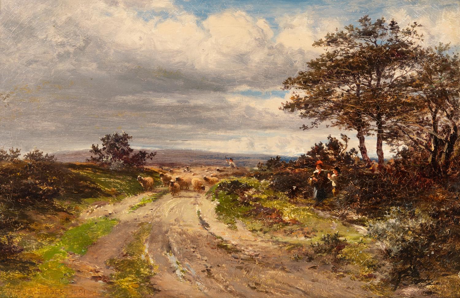 Herding Sheep
