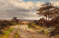 Herding Sheep