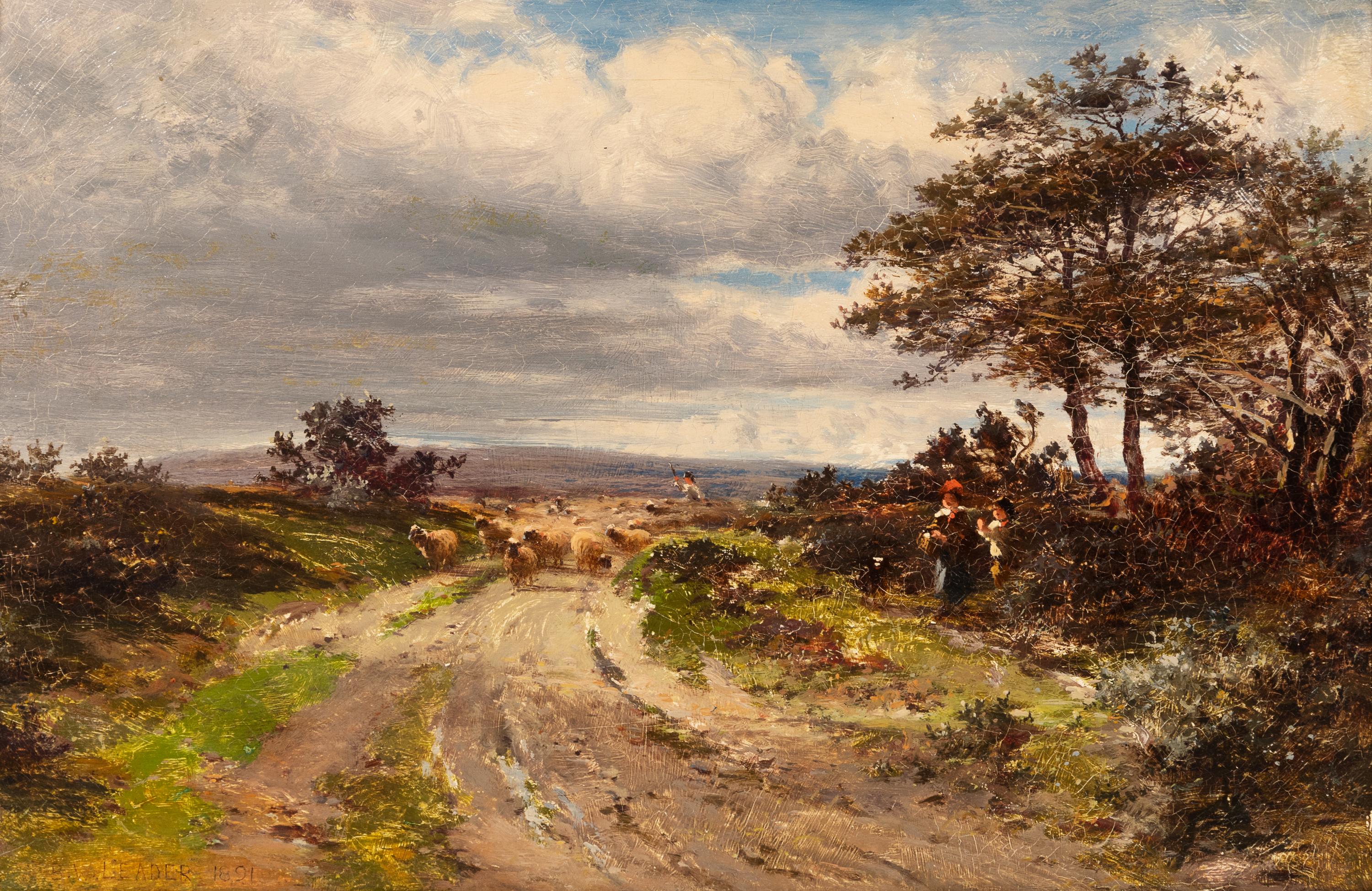 Herding Sheep