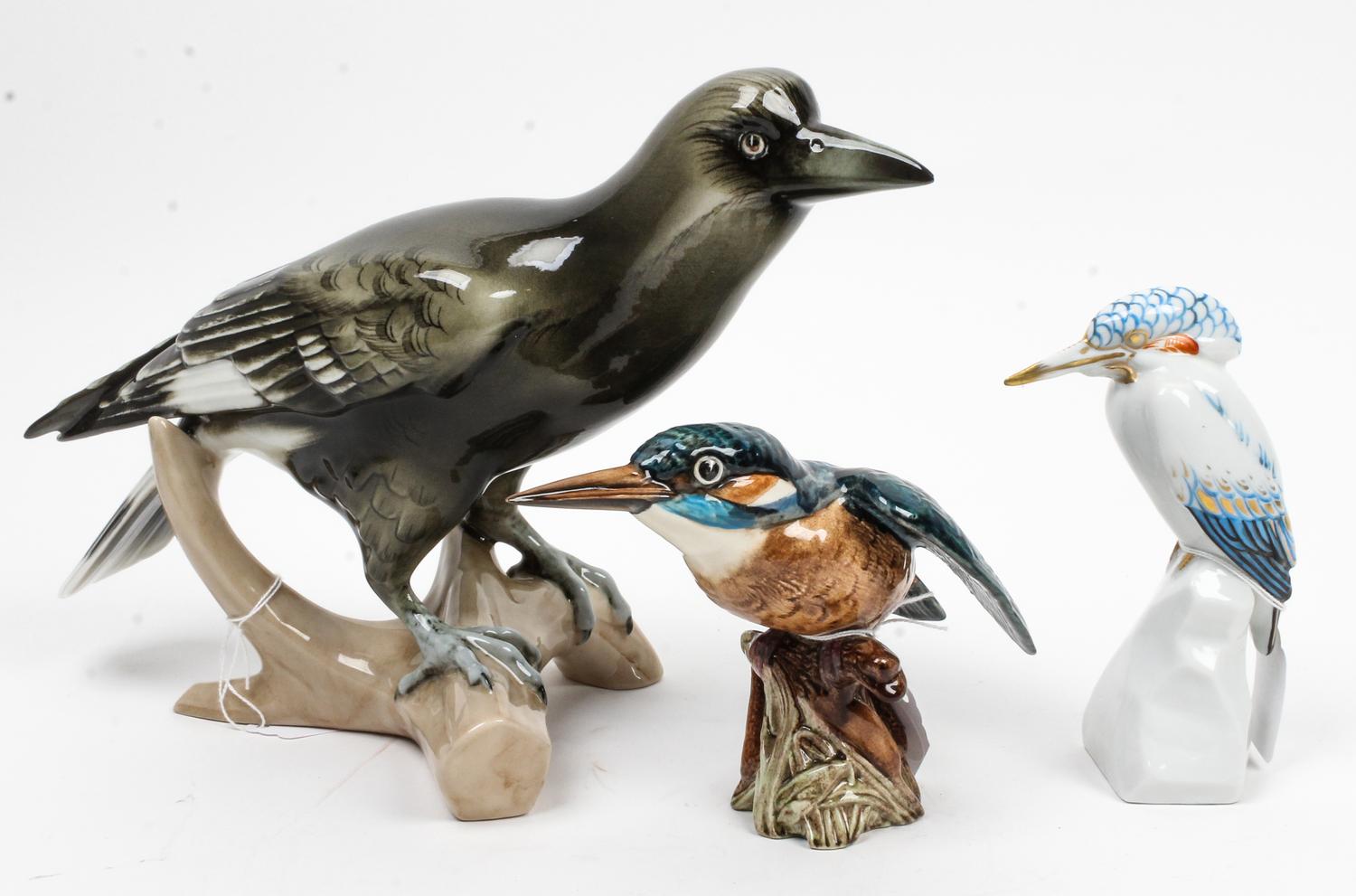 Three Continental Porcelain Ornithological Figures Height of tallest 8 1/2 inches. — VARIOUS MAKERS