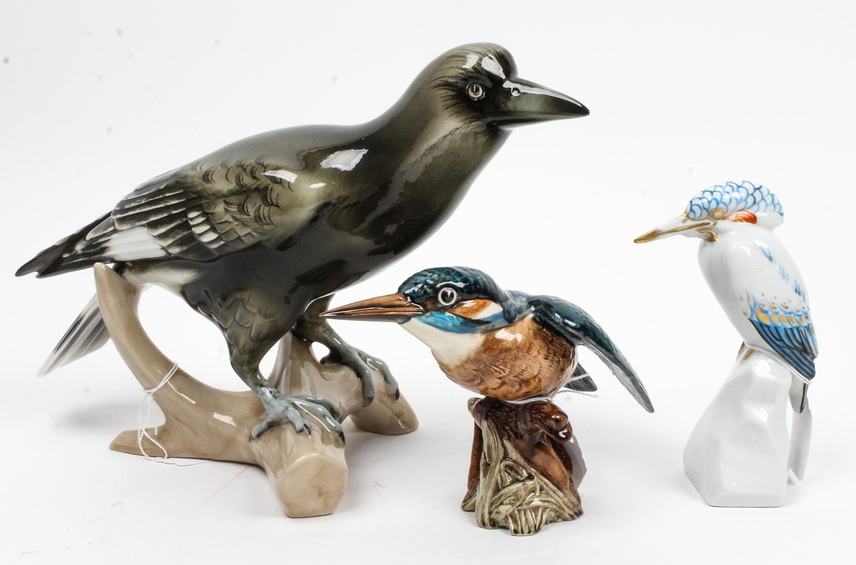 Three Continental Porcelain Ornithological Figures Height of tallest 8 1/2 inches. — VARIOUS MAKERS
