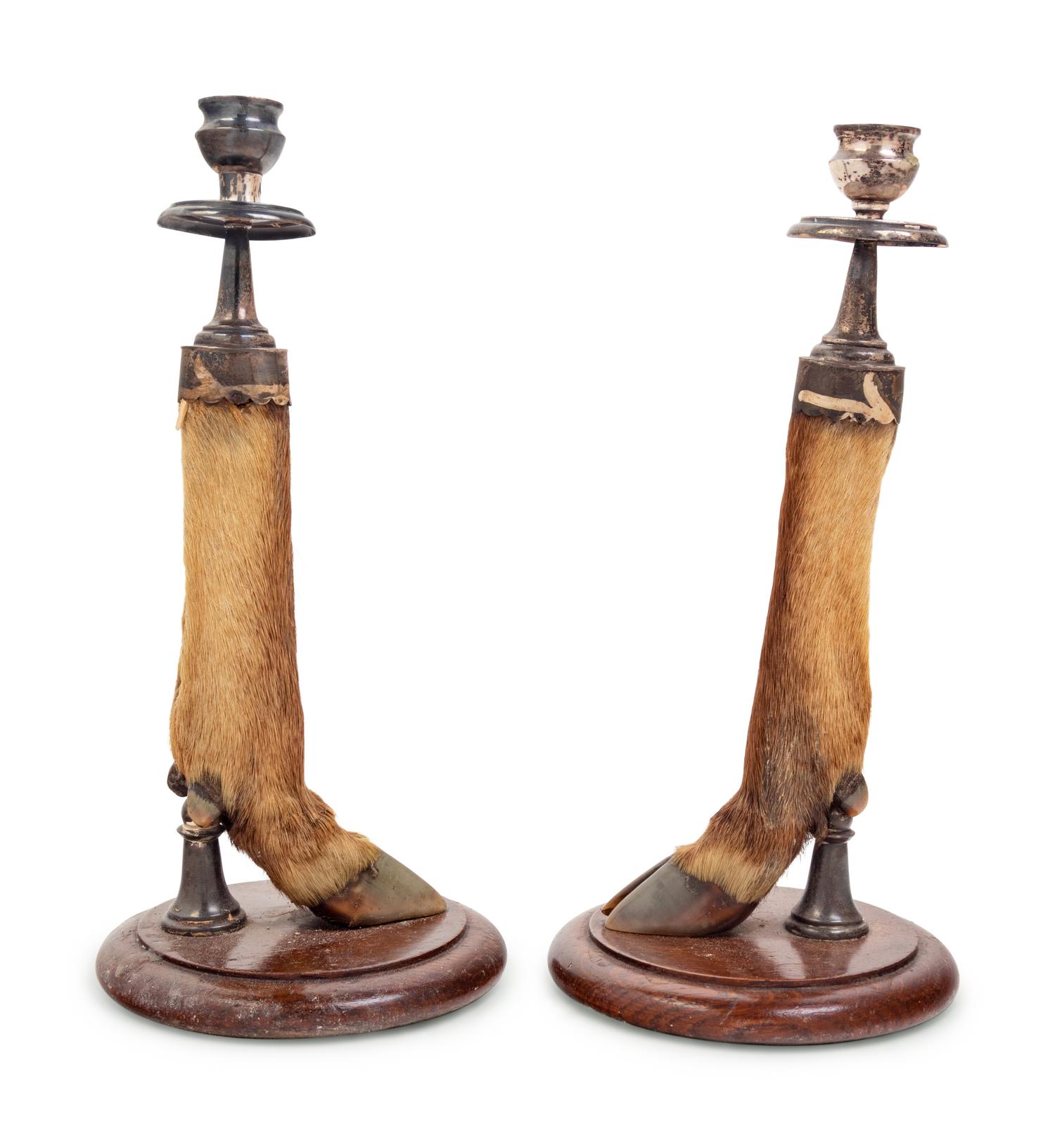 A Pair of English Silver Mounted Taxidermy Candlesticks