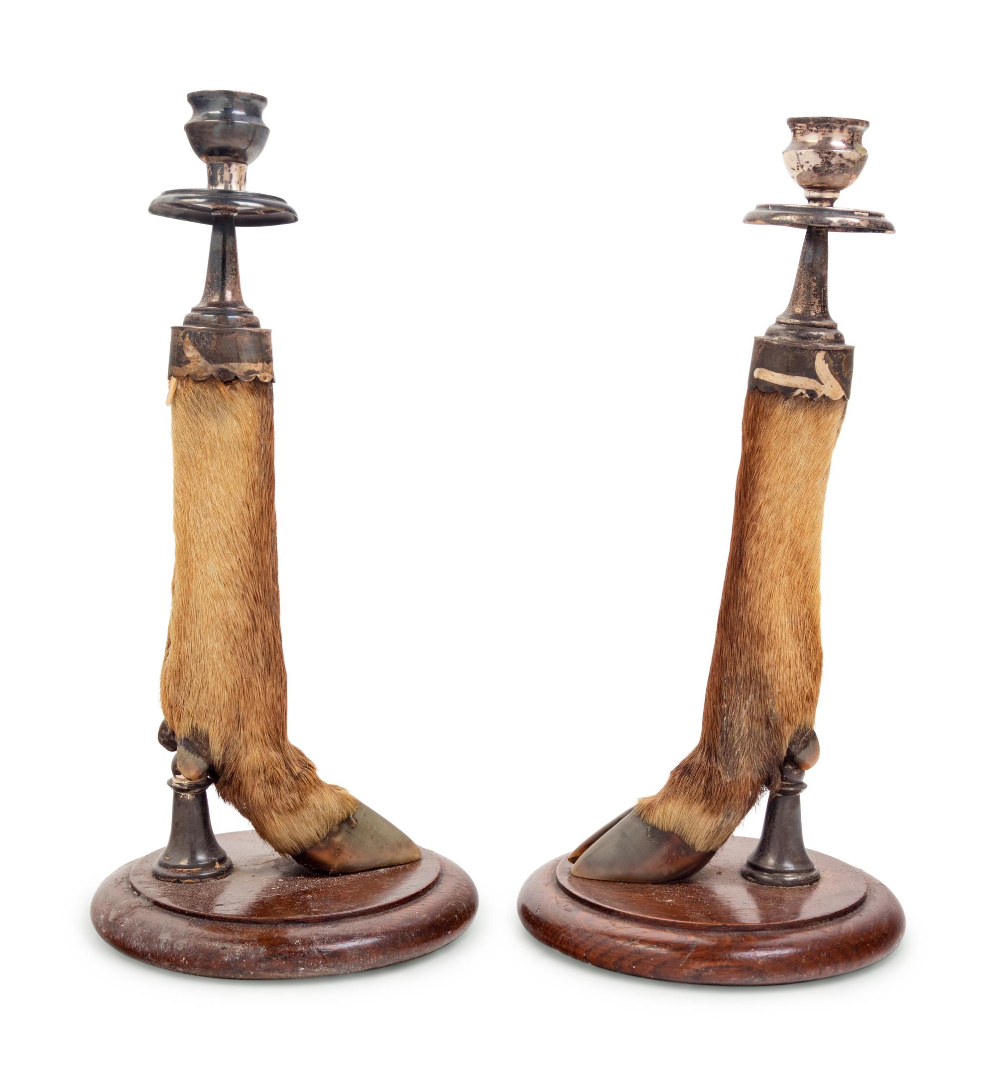 A Pair of English Silver Mounted Taxidermy Candlesticks