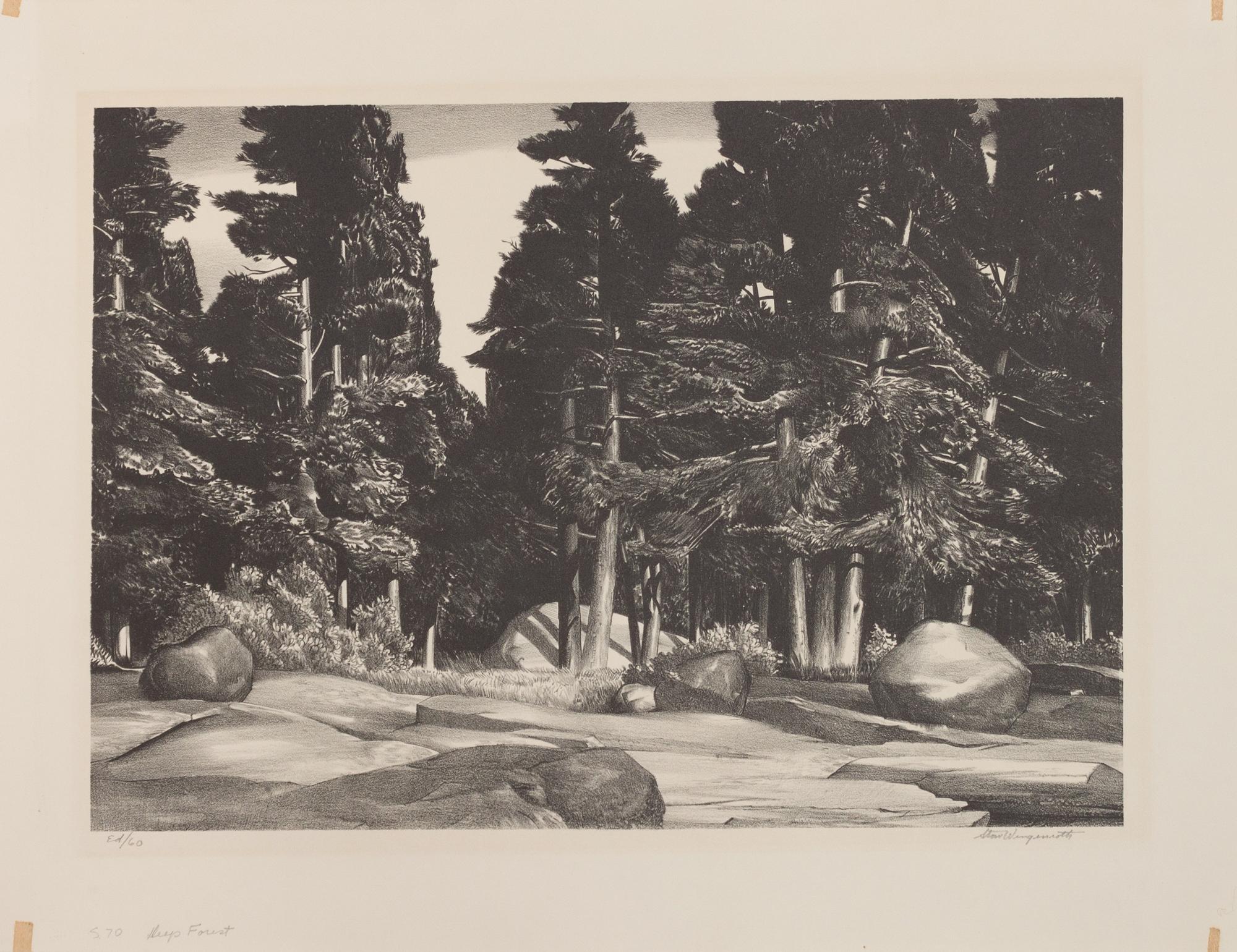 A group of three prints ( Rocks, Eastport, Maine, 1931; Deep Forest, Booth Bay Harbor, Maine, 1937; Spirit of New England, Kennebunk, Maine, 1956)