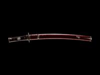 A Wakazashi