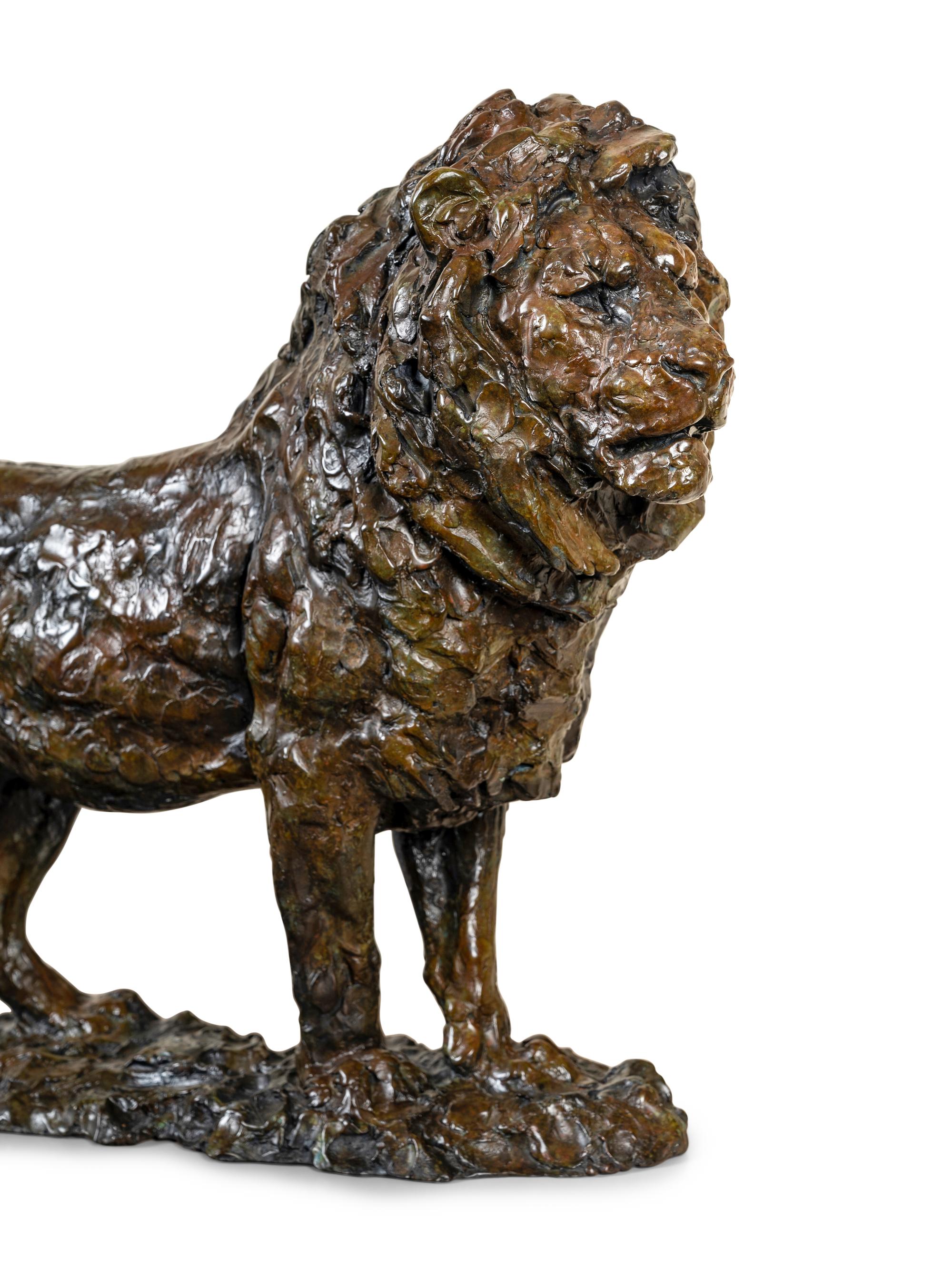 Serengeti Lion , edition 12/35
