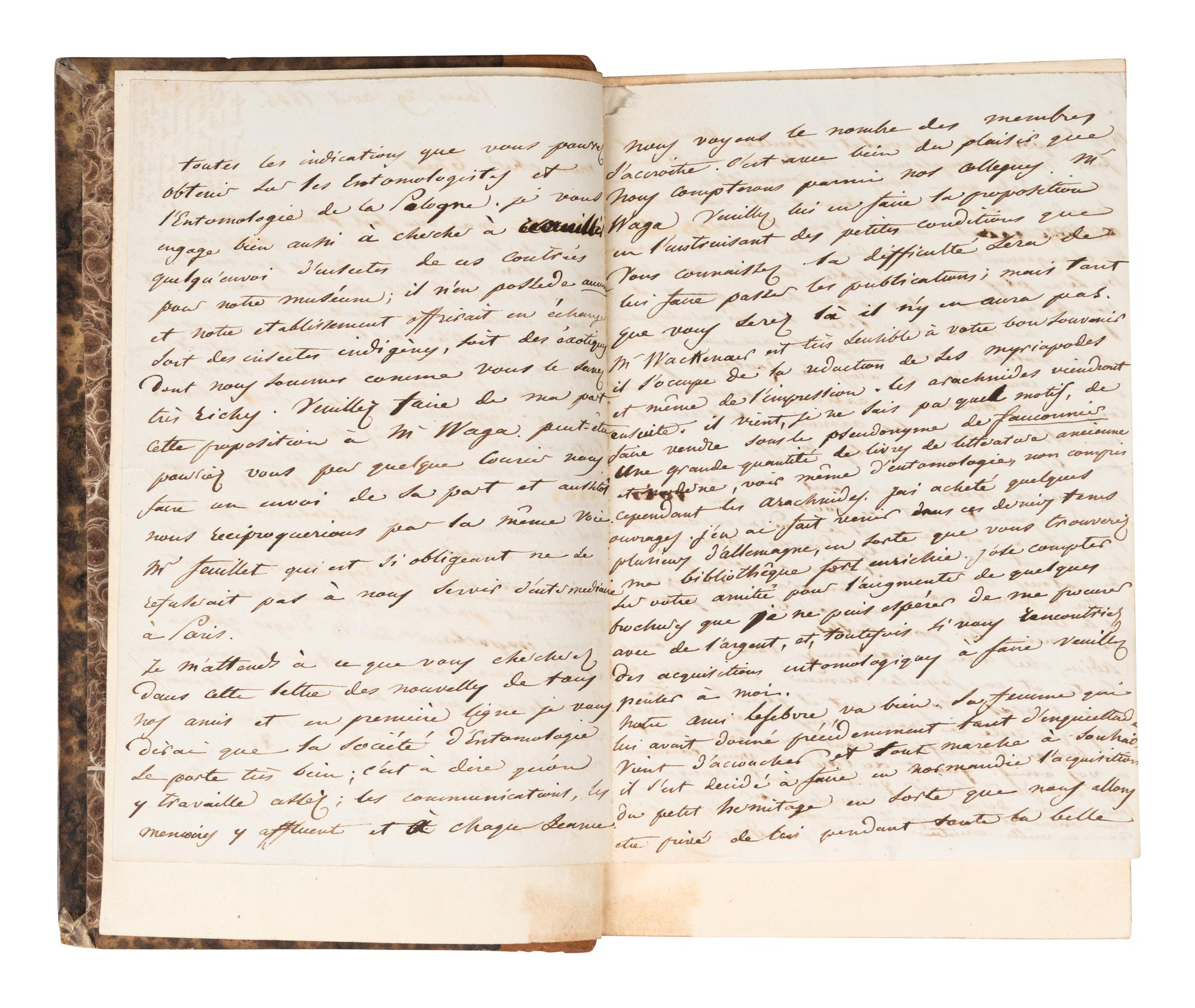 [GARDENS & FLORA]. A group of 8 works, including: